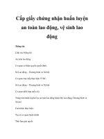 Cấp giấy chứng nhận huấn luyện an toàn lao động, vệ sinh lao động ppsx