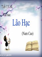 bài giảng lão hạc