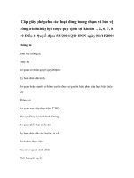 Cấp giấy phép cho các hoạt động trong phạm vi bảo vệ công trình thủy lợi được quy định tại khoản 1, 2, 6, 7, 8, 10 Điều 1 Quyết định 55/2004/QĐ-BNN ngày 01/11/2004 pdf