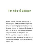 Tìm hiểu về Bilirubin ppsx