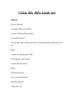 Giám đốc điều hành mỏ pptx