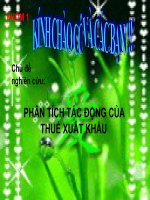 PHÂN TÍCH TÁC ĐỘNG CỦA THUẾ XUẤT KHẨU pps