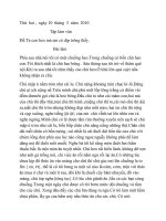 Tả con heo mà em có dịp trông thấy