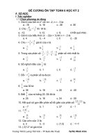 Đề cương ôn tập HK2 Toán 6