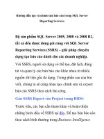 Hướng dẫn tạo và chỉnh sửa báo cáo trong SQL Server Reporting Services- P1 ppt