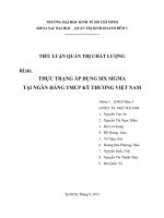 TIỂU LUẬN QUẢN TRỊ CHẤT LƯỢNG: THỰC TRẠNG ÁP DỤNG SIX SIGMA TẠI NGÂN HÀNG TMCP KỸ THƯƠNG VIỆT NAM