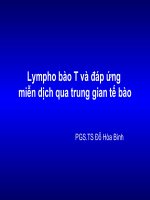 Lympho bào T và đáp ứng miễn dịch qua trung gian tế bào