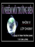 Ô nhiễm môi trường biển ppsx