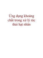Ứng dụng khoáng chất trong xử lý rác thải hạt nhân ppt