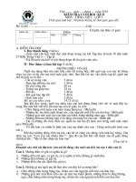 Đề thi TV 5 lớp 5.CKII