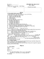 Đề kiểm tra học kỳ II - Địa 8(có Đáp án)