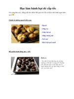 Học làm bánh hạt dẻ cấp tốc pdf