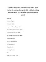 Cấp Giấy chứng nhận an toàn kỹ thuật và bảo vệ môi trường cho các loại phương tiện thủy nội địa hoạt động trên sông, kênh, rạch, hồ, đầm, vịnh do địa phương quản lý pot