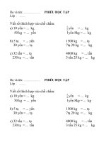 PHIEU HOC TAP - TOÁN 4 - ON TAP VE DAI LUONG