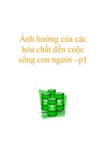 Ảnh hưởng của các hóa chất đến cuộc sống con người –p1 ppt