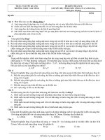 Kiểm tra chuyên đề Sóng ánh sáng - SGK Nâng cao