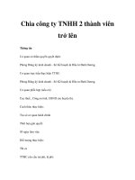 Chia công ty TNHH 2 thành viên trở lên pps