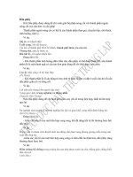 dau cau va  cuoc doi