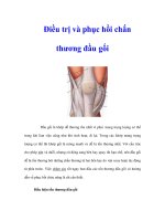 Điều trị và phục hồi chấn thương đầu gối pdf