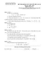Đề và đáp án thi khảo sát chuyên đề lần II môn toán lớp 11