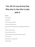 Thay đổi, bổ sung nội dung Hợp đồng cộng tác thực hiện trợ giúp pháp lý doc