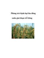 Phòng trừ bệnh hại lúa đông xuân giai đoạn trỗ bông pps