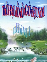 thời đại đồ đồng ở việt nam