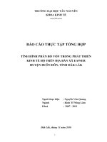 BÁO CÁO THỰC TẬP: TÌNH HÌNH PHÂN BỐ VỐN TRONG PHÁT TRIỂN KINH TẾ HỘ TRÊN ĐỊA BÀN XÃ EAWER HUYỆN BUÔN ĐÔN, TỈNH ĐẮK LẮK pot
