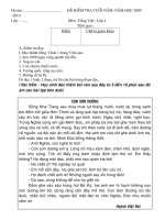 đề thi L4 _ tiếng việt ( PHú quốc)