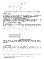 4 đề thi học sinh giỏi tiếng việt 5