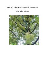 MỘT SỐ VẤN ĐỀ CẦN LƯU Ý KHI CHĂM SÓC SẦU RIÊNG ppsx