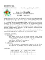 Báo cáo tổng kết hoạt động đội