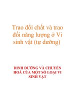 Trao đổi chất và trao đổi năng lượng ở Vi sinh vật (tự dưỡng) pot
