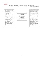 Cố định gãy xương trong chấn thương - trường Đại học Y Hà Nội