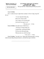 Đề thi HSG cấp trường môn Văn 7