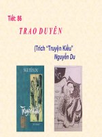 bài giảng trao duyên truyên kiều