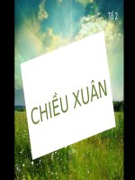 bài giảng chiều xuân ngữ văn 11
