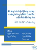 Giải pháp hoàn thiện hệ thống trả công lao động tại Công ty TNHH Khuôn Mẫu và Sản Phẩm Kim Loại Vina