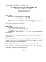 đề thi học sinh giỏi lớp 5 môn toán