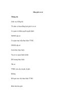 Hòa giải cơ sở pps