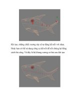 Hướng dẫn tạo mô hình cá mập theo kiểu animation- P2 pptx