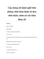 Cấp chứng chỉ hành nghề tiêm phòng, chẩn đoán bệnh, kê đơn, chữa bệnh, chăm sóc sức khỏe động vật pdf