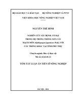 Nghiên cứu sâu bệnh, cỏ dại trong hệ thống trồng xen cây mạch môn (Ophiopogon japonicus Wall.) với cây trồng khác tại tỉnh Phú Thọ (tóm tắt)