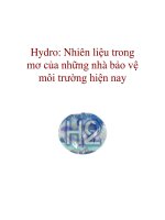 Hydro: Nhiên liệu trong mơ của những nhà bảo vệ môi trường hiện nay pdf