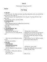 Giao an Toan - Tieng Viet(tuan 33)