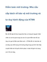 Kiểm toán môi trường- Nhu cầu cấp bách pdf