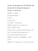 Hướng dẫn tạo và chỉnh sửa báo cáo trong SQL Server Reporting Services- P2 docx