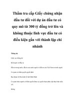 Thẩm tra cấp Giấy chứng nhận đầu tư đối với dự án đầu tư có quy mô từ 300 tỷ đồng trở lên và không thuộc lĩnh vực đầu tư có điều kiện gắn với thành lập chi nhánh pot