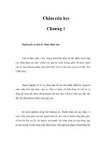 Châm cứu học - Chương 1 pdf