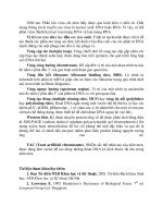 Hộp Điện Trong Công Nghệ DNA part 6 pdf